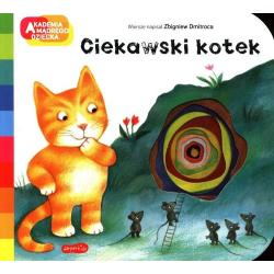 CIEKAWSKI KOTEK A TO CIEKAWE!