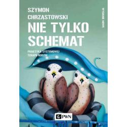 NIE TYLKO SCHEMAT. PRAKTYKA SYSTEMOWEJ TERAPII RODZIN
