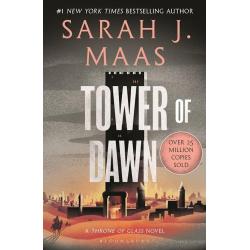 TOWER OF DAWN