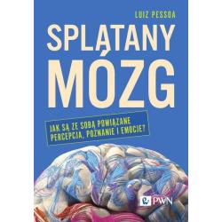 SPLĄTANY MÓZG