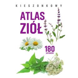 KIESZONKOWY ATLAS ZIÓŁ. 180 GATUNKÓW