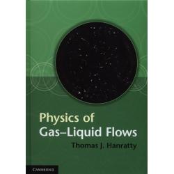 PHYSICS OF GAS-LIQUID FLOWS
