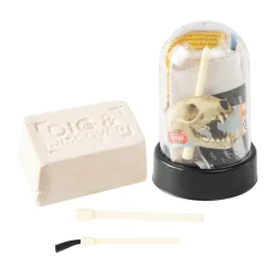 WYKOPALISKA CZASZKI ZWIERZĄT PALEONTOLOG ZESTAW NAUKOWY | 6+