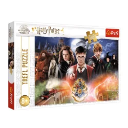 TAJEMNICZY HARRY POTTER PUZZLE 300 ELEMENTÓW | 8+