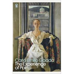 THE EXPERIENCE OF PAIN