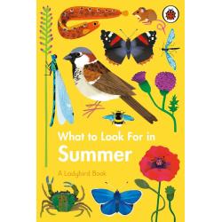 WHAT TO LOOK FOR IN SUMMER