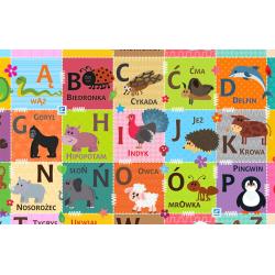 ALFABET CYFERKI SZACHOWNICA KONTRASTOWA PIANKOWA MATA EDUKACYJNA 180 X 200 CM 0+ - Humbi