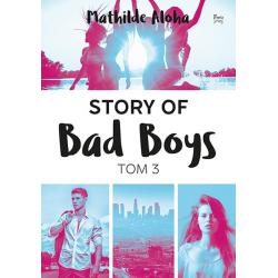 STORY OF BAD BOYS 3