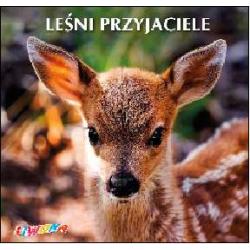 LEŚNI PRZYJACIELE
