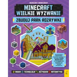 ZBUDUJ PARK ROZRYWKI MINECRAFT Anne Rooney - Wilga