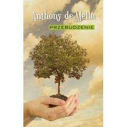 PRZEBUDZENIE