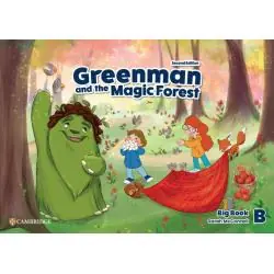 GREENMAN AND THE MAGIC FOREST LEVEL B BIG BOOK