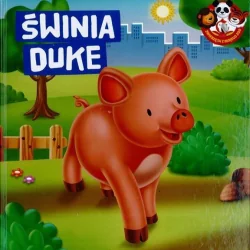 ŚWINIA DUKE