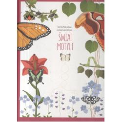 ŚWIAT MOTYLI Rita Mabel Schiavo Giulia De Amicis ilustr 