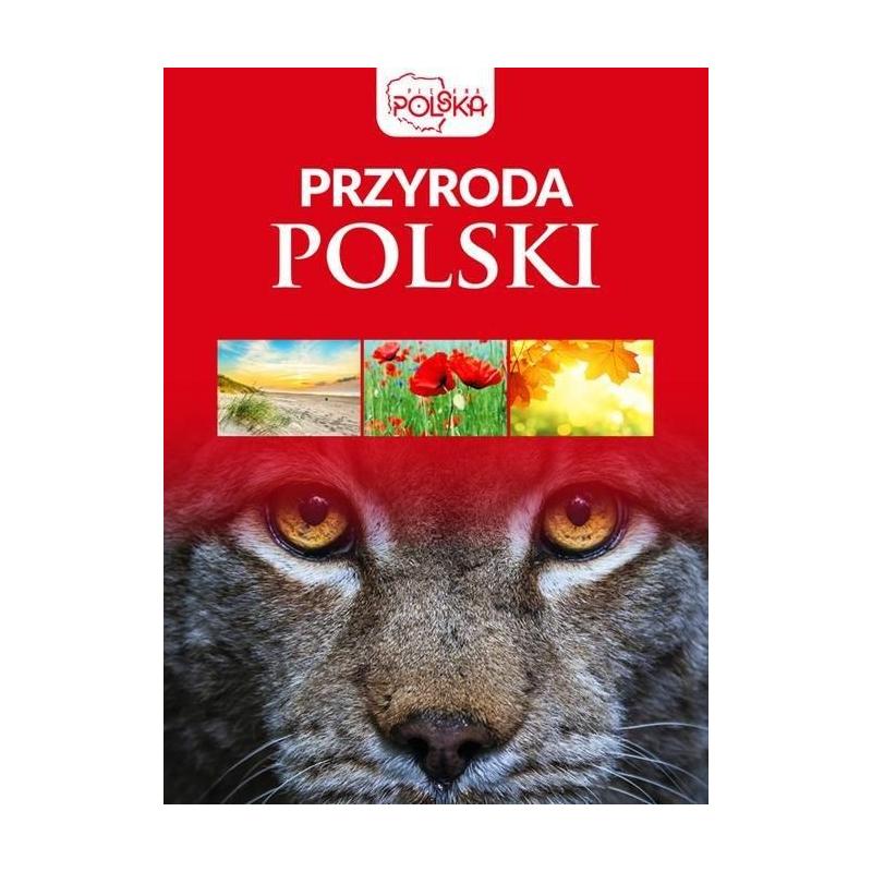 PRZYRODA POLSKI. PIĘKNA POLSKA - Dragon