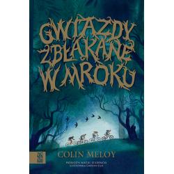 GWIAZDY ZBŁĄKANE W MROKU