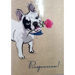 KARNET OKOLICZNOŚCIOWY PRZEPRASZAM