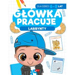 LABIRYNTY. GŁÓWKA PRACUJE 6-8 LAT