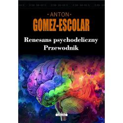 RENESANS PSYCHODELICZNY. PRZEWODNIK
