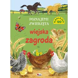 WIEJSKA ZAGRODA. POZNAJEMY ZWIERZĘTA