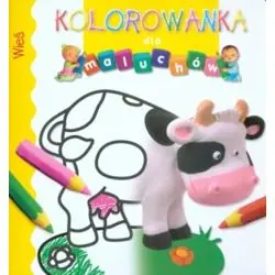 WIEŚ. KOLOROWANKA DLA MALUCHÓW