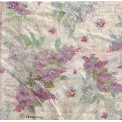 PAPIER RYŻOWY BEZ 48 X 33 CM