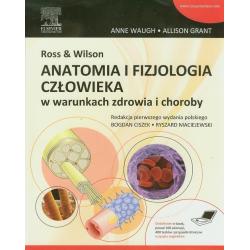 ROSS WILSON ANATOMIA I FIZJOLOGIA CZŁOWIEKA W WARUNKACH ZDROWIA I CHOROBY