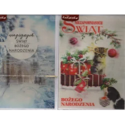 KARNET ŚWIĄTECZNY WESOŁYCH ŚWIĄT 3D