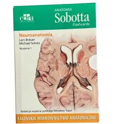 ANATOMIA SOBOTTA FLASHCARDS NEUROANATOMIA. ŁACIŃSKIE MIANOWNICTWO ANATOMICZNE