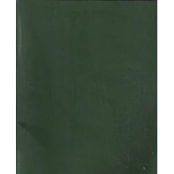 ZESZYT W LINIE 192 KARTKI B5