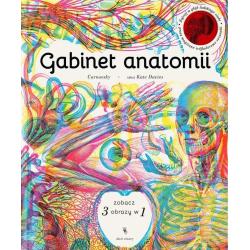 GABINET ANATOMII