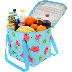 DUŻA TORBA TERMICZNA FRUIT MELON 28L