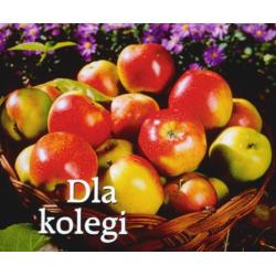 DLA KOLEGI