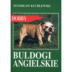 BULDOGI ANGIELSKIE