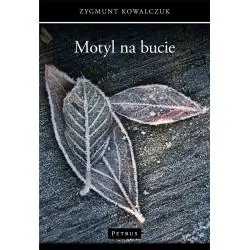 MOTYL NA BUCIE