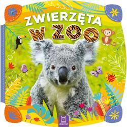 ZWIERZĘTA W ZOO