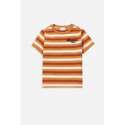 T-SHIRT DLA CHŁOPCA KOLOROWY KOSZULKA ROZMIAR 116 COCCODRILLO