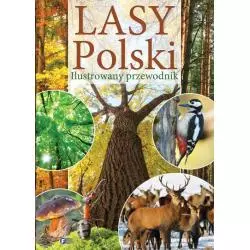 LASY POLSKI ILUSTROWANY PRZEWODNIK 