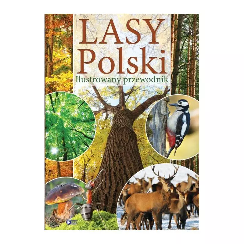 LASY POLSKI ILUSTROWANY PRZEWODNIK 