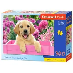 PUZZLE LABRADOR W RÓŻOWYM PUDEŁKU 300 ELEMENTÓW CASTORLAND 8+