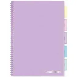 KOŁOZESZYT W KRATKĘ Z PRZEGRÓDKAMI 100 KARTEK B5