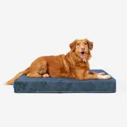 LEGOWISKO MATERAC ORTOPEDYCZNY DLA PSA PETFORMED 120x71 CM – HIPOALERGICZNY, ZMYWALNY, NIE ZAPADA SIĘ