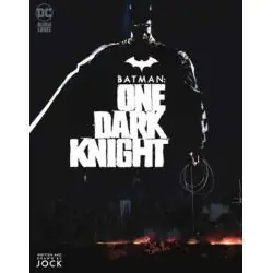 BATMAN: ONE DARK KNIGHT
