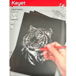 ZDRAPYWANKI ZWIERZĘTA A5 ZESTAW 6 WZORÓW KAYET