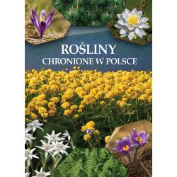 ROŚLINY CHRONIONE W POLSCE
