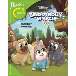 DISNEY JUNIOR BINGO I ROLLY W AKCJI. TAJEMNICZY JEDNOROŻEC. BAJKA NA 1 MINUTĘ