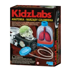 ANATOMIA NARZĄDY CZŁOWIEKA ZESTAW EDUKACYJNY – BUDOWA LUDZKIEGO CIAŁA DLA DZIECI 3+