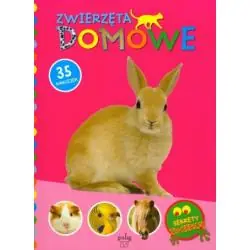 SEKRETY ZWIERZĄT ZWIERZĘTA DOMOWE