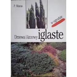 DRZEWA I KRZEWY IGLASTE W OGRODZIE