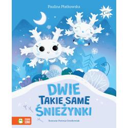 DWIE TAKIE SAME ŚNIEŻYNKI